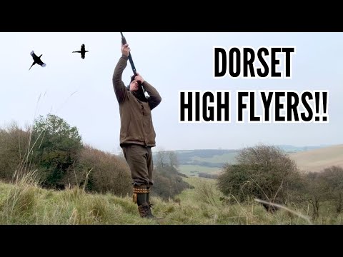 Видео: ПОТРЯСАЮЩАЯ охота на фазанов | ВЫСОКОПОТНЫЕ ПТИЦЫ!! | КАКОЙ ДЕНЬ!!