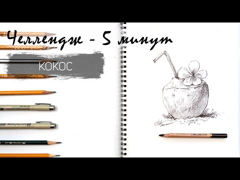 Видео: Кокос за 7 минут простым карандашом. Челлендж-пятиминутка. Рисуем регулярно. Быстрые наброски