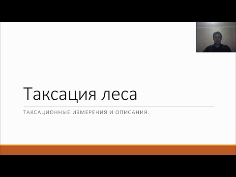 Видео: Таксация леса, лекция 2 - 3 курс Лесное дело