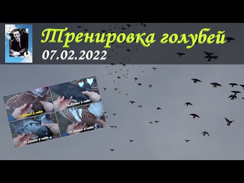 Видео: Новый рекорд на Питомнике им. А.С. Брагина 07.02.2022 (Полная версия)