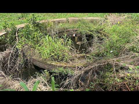 Видео: Фонтан разваливался — мы почистили его и обнаружили нечто НЕВЕРОЯТНОЕ!