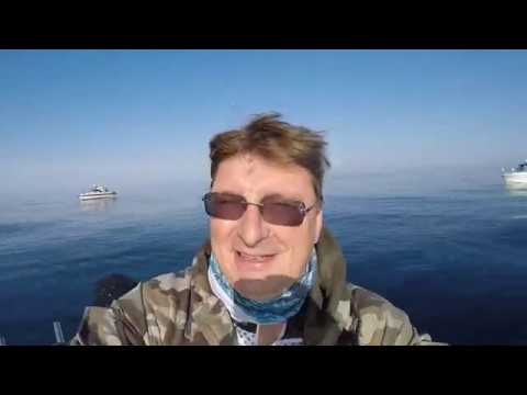 Видео: Ловля трески на банке Зубра в июне 2020