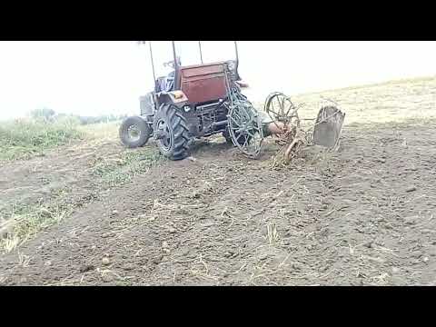 Видео: Копаємо картоплю саморобним трактором + польська кінна картоплекопачка,