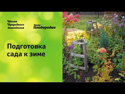 Видео: Подготовка сада к зиме, укрытие роз, кустарников