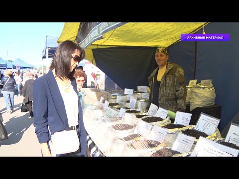 Видео: Ирбитская ярмарка приглашает гостей!