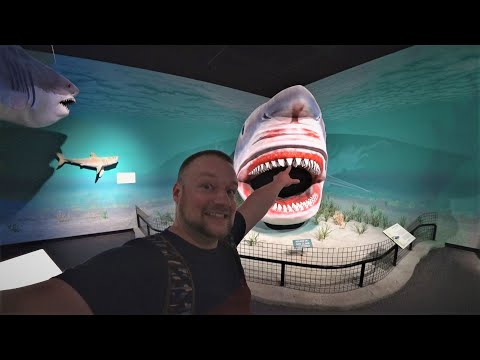 Видео: Музей древнего мира. Динозавры в Юте