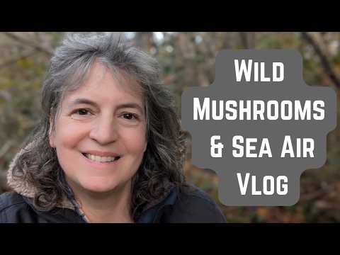 Видео: Замедление темпа в Уэльсе: пляжи, леса и лесные грибы