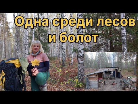 Видео: В ИЗБУШКЕ ПОСЕЛИЛИСЬ ОПАСНЫЕ ЖИЛЬЦЫ. ВЫРУЧИЛ ДОМИК У ОЗЕРА. 