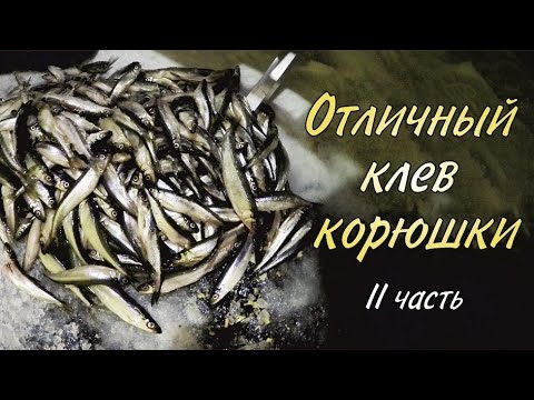 Видео: Отличный клёв корюшки / II часть / Excellent bite smelt / II part