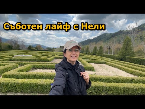 Видео: Съботен лайф с Нели