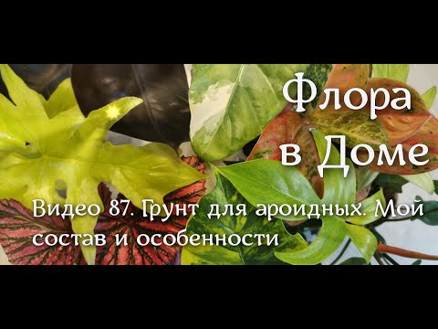 Видео: Видео 87. Грунт для ароидных.  Мой состав и особенности