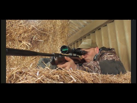 Видео: ЕЩЕ ОДИН ПРАЗДНИЧНЫЙ ДЕНЬ Walther LGV Magpie Control.