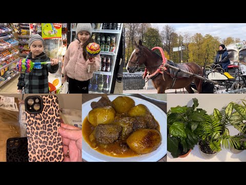 Видео: ПОСЛЕДНИЙ ВЛОГ БЕРЕМЕНЯШКИ🤰ДОМАШНИЕ ХЛОПОТЫ👌МНОГО ПОКУПОК🛍️ПИТЕРСКАЯ ОСЕНЬ🍂