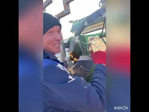 Видео: Ноехон-2021