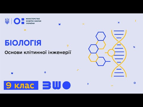 Видео: 9 клас. Біологія. Основи клітинної інженерії