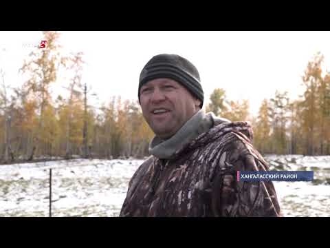 Видео: Репортаж: Фермеры и садоводы Покровска