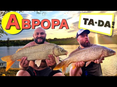 Видео: Короп каже ВАУ‼️ Бюджетні снасті з Аврори і ТАДА