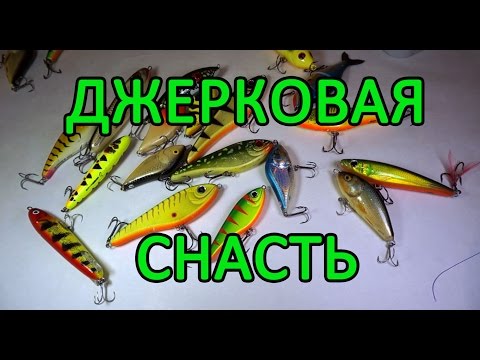 Видео: Обзор джерковой снасти. Часть 2