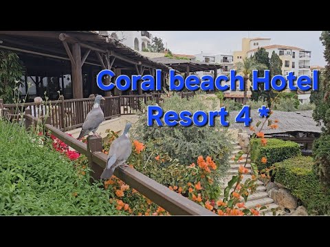 Видео: Coral beach Hotel Resort 4 * Пафос - Кипр,полный обзор отеля 2025 #кипр