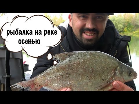 Видео: Непредсказуемая осенняя рыбалка на реке