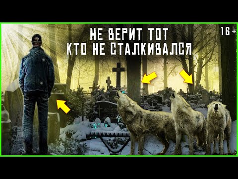 Видео: Встреча с волком в тайге на кладбище. Таежные истории и байки. Аудио рассказы