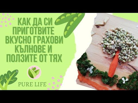 Видео: 🥰🍃🌞КАК ДА СИ ПРИГОТВИТЕ ВКУСНИ ГРАХОВИ КЪЛНОВЕ И ЗАЩО СА ТОЛКОВА ПОЛЕЗНИ