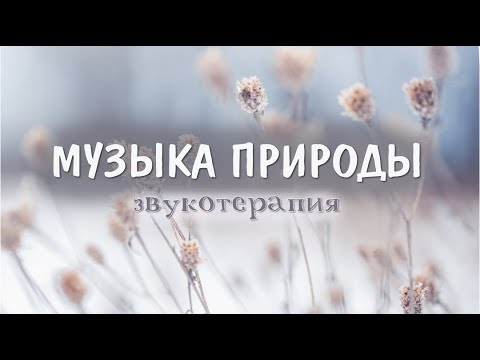 Видео: Красивая Музыка Природы - Зимняя Музыка на Гуслях для Зимнего Настроения - Кирилл Богомилов