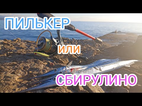 Видео: Пилькер или сбирулино? Что выбрать? Рыбалка на Саргана, на Чёрном море, Алушта. 