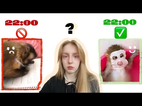 Видео: как наконец-то наладить режим сна, перестать откладывать отход ко сну и сделать засыпание легким