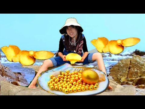 Видео: Невероятный! Тепловая волна приносит странных морских жемчужных моллюсков. золотая жемчужина
