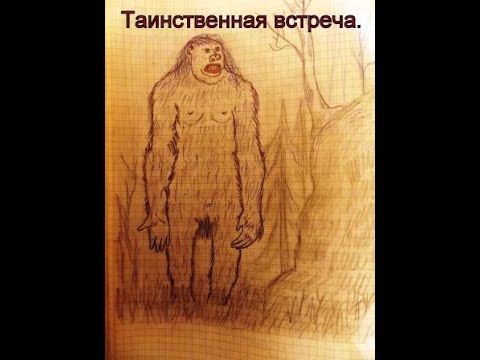 Видео: ТАИНСТВЕННАЯ  ВСТРЕЧА.   ( для Германа)
