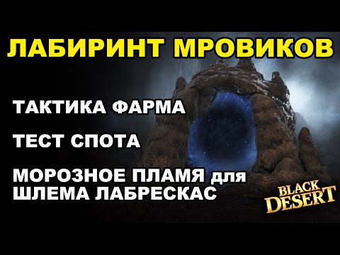Видео: 💰 Лабиринт Мровиков. Тесты и тактика фарма серебра. Итемы на шлем ЛАБРЕСКАС в БДО (BDO-Black Desert)