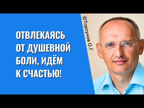 Видео: Отвлекаясь от душевной боли, идём к Счастью! Торсунов лекции