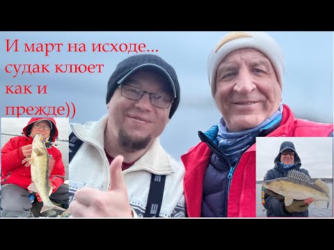 Видео: И март на исходе, а судак клюет как прежде