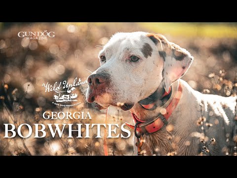 Видео: Джорджия Бобуайт — Дикая возвышенность, сезон 3, серия 6