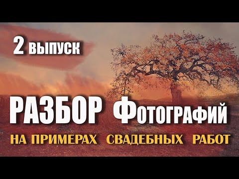 Видео: Разбор фото - Свадебные фотографии. Советы новичкам. 2 выпуск.