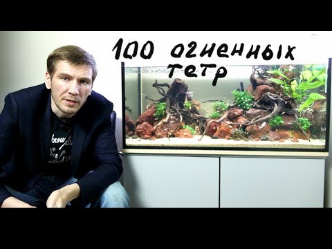 Видео: Медленный травник месяц после запуска. Первые проблемы