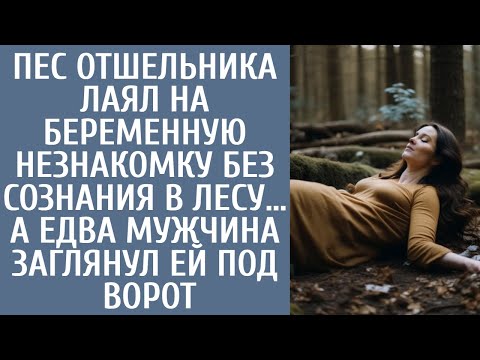 Видео: Пес отшельника лаял на беременную незнакомку без сознания в лесу… А едва мужчина заглянул под ворот