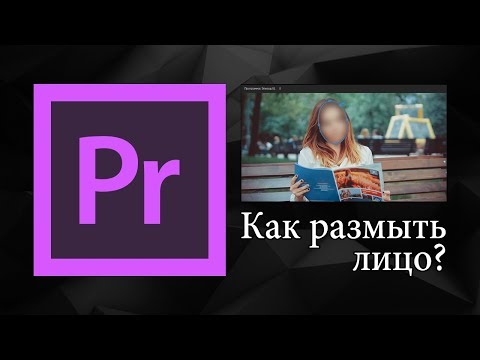 Видео: Как размыть лицо в Adobe Premiere Pro | Уроки видеомонтажа.