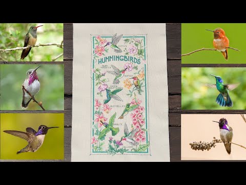 Видео: Dimensions "The Hummingbird Society". От распаковки до готовой работы.