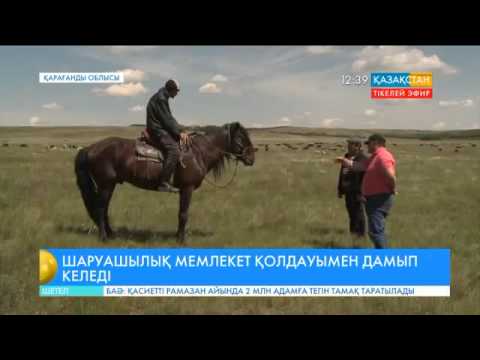 Видео: Белағаш ауылындағы «Альянс» шаруа қожалығы «Ырыс» бағдарламасының қолдауына ие болды