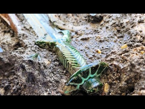 Видео: Как ТАКОЕ Возможно?! Найден Лучший Сохран Древнего Меча за Всю Историю