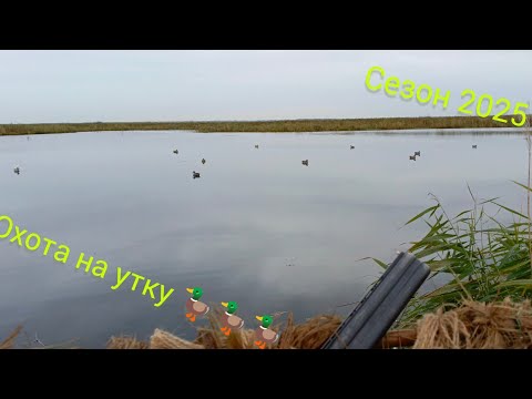 Видео: ВЫЕХАЛ НА ОХОТУ НА ВЕЧЕРНЮЮ ЗОРЬКУ. ОХОТА НА ОЗЕРЕ. ШИКАРНО ПРОВЕЛ ВРЕМЯ.