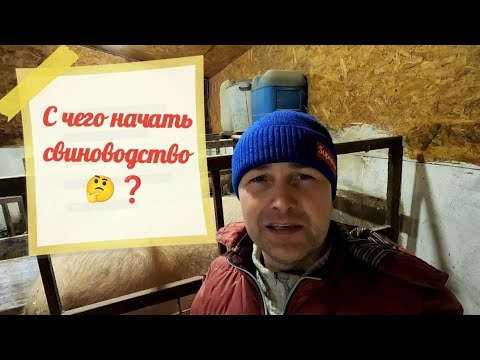 Видео: С ЧЕГО НАЧАТЬ СВИНОВОДСТВО❓🤔  КАК НЕ ОШИБИТЬСЯ С ВЫБОРОМ