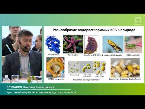 Видео: 24.09 СЛУЧАНКО Николай Николаевич — УСТАНОВОЧНАЯ ЛЕКЦИЯ СЕКЦИИ: «БИОФИЗИКА»
