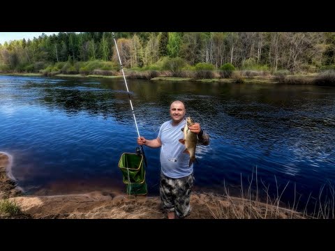 Видео: Рыбалка на донки / Река Луга опять удивила уловом / Разведка новых мест