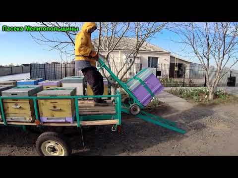 Видео: Выезд на пасеку на опыление садов