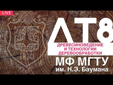 Видео: ЛТ8-ДРЕВЕСИНОВЕДЕНИЕ И ТЕХНОЛОГИИ ДЕРЕВООБРАБОТКИ