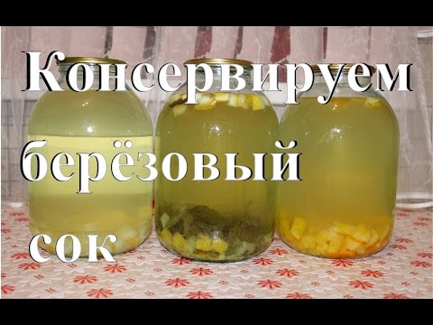 Видео: Консервируем березовый сок. Простой способ. Готовим дома.