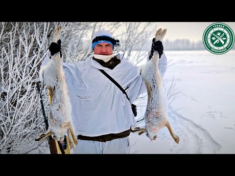 Видео: ВОТ ГДЕ ОНИ ПРЯТАЛИСЬ ! Охота на зайцев 2025